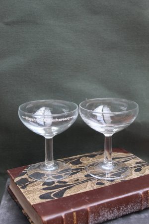 1001049 Champagne Coupes with Motif (125ml)
