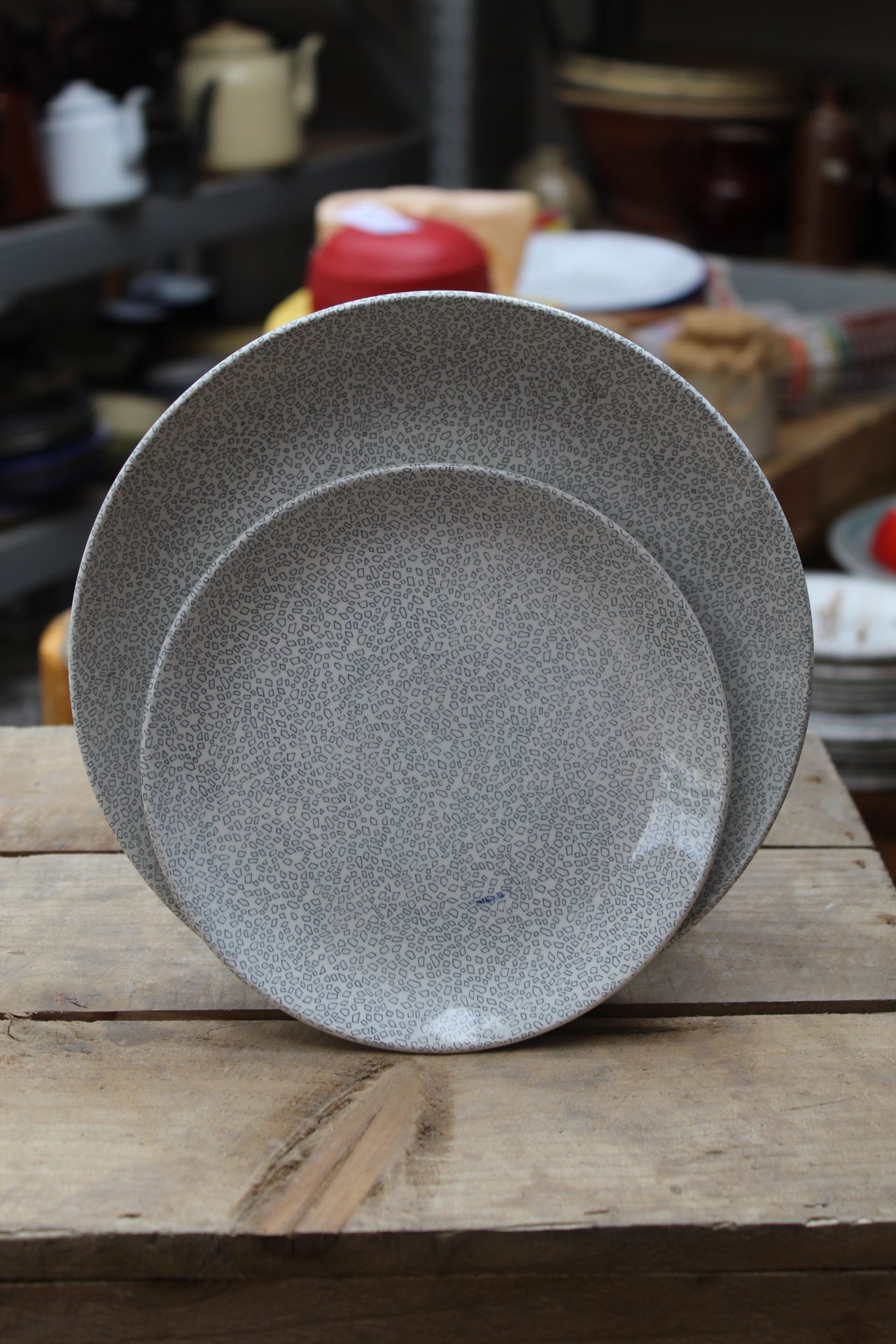 1210093 Grey Speckled Plate Set