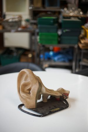 0044255 Desktop Model of an Ear