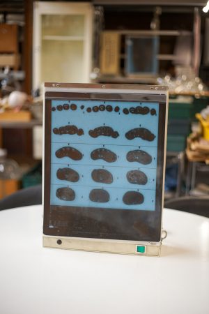 0044261 X-Ray Lightbox