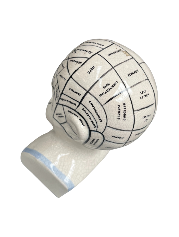 0044252 Phrenology Small - Image 4