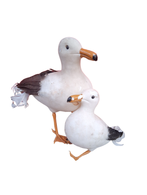 0052110 Prop Seagulls