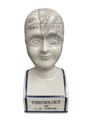 0044251 Phrenology Medium