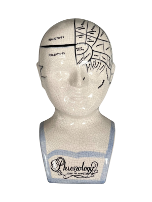 0044252 Phrenology Small
