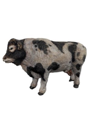 prop cow bull