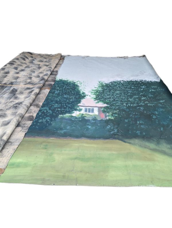 0017 Driveway View Hand-Painted Backdrop - 15ft high x 26ft wide ...