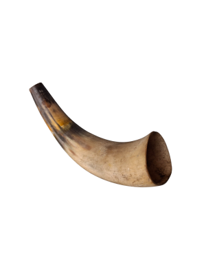 1500083 MUSIC: Small Cow Horn