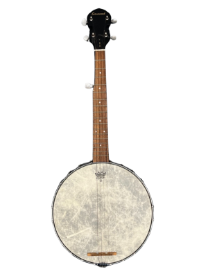 1500146 MUSIC: 5-string Banjo
